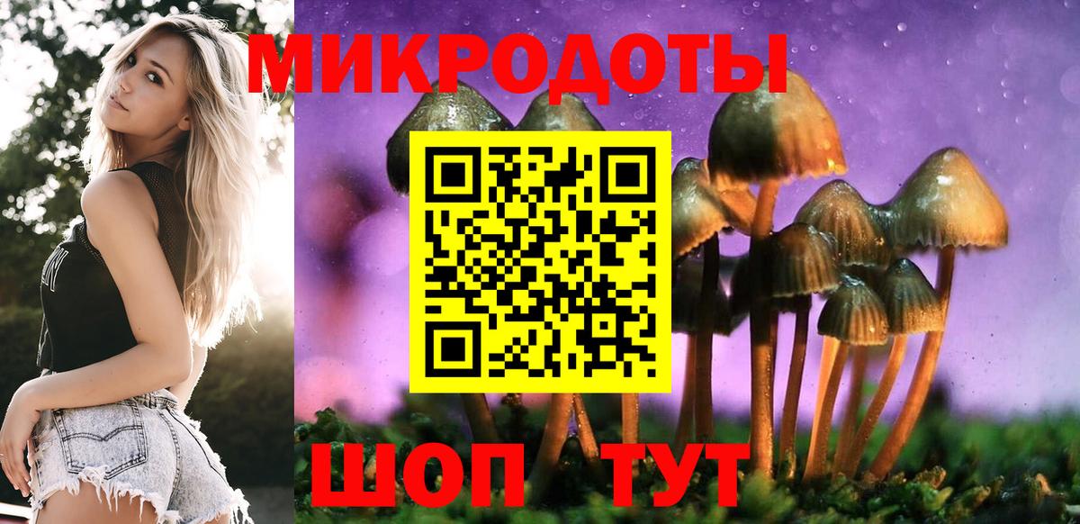 Петропавловск-Камчатский  Галлюциногенные грибы MAGIC MUSHROOMS  Вход с VPN  дарнет шоп  Псилоцибиновые грибы мухоморы 